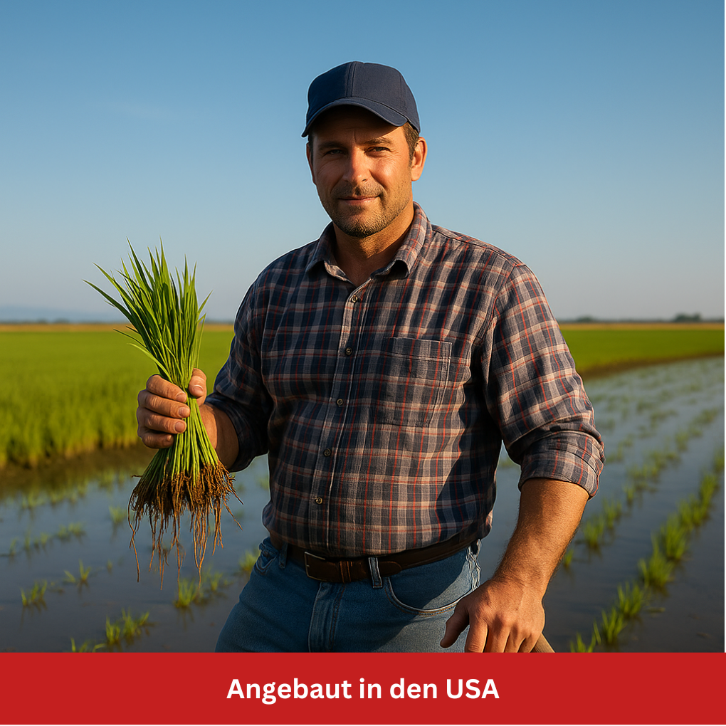 Herstellung Calrose Reis USA