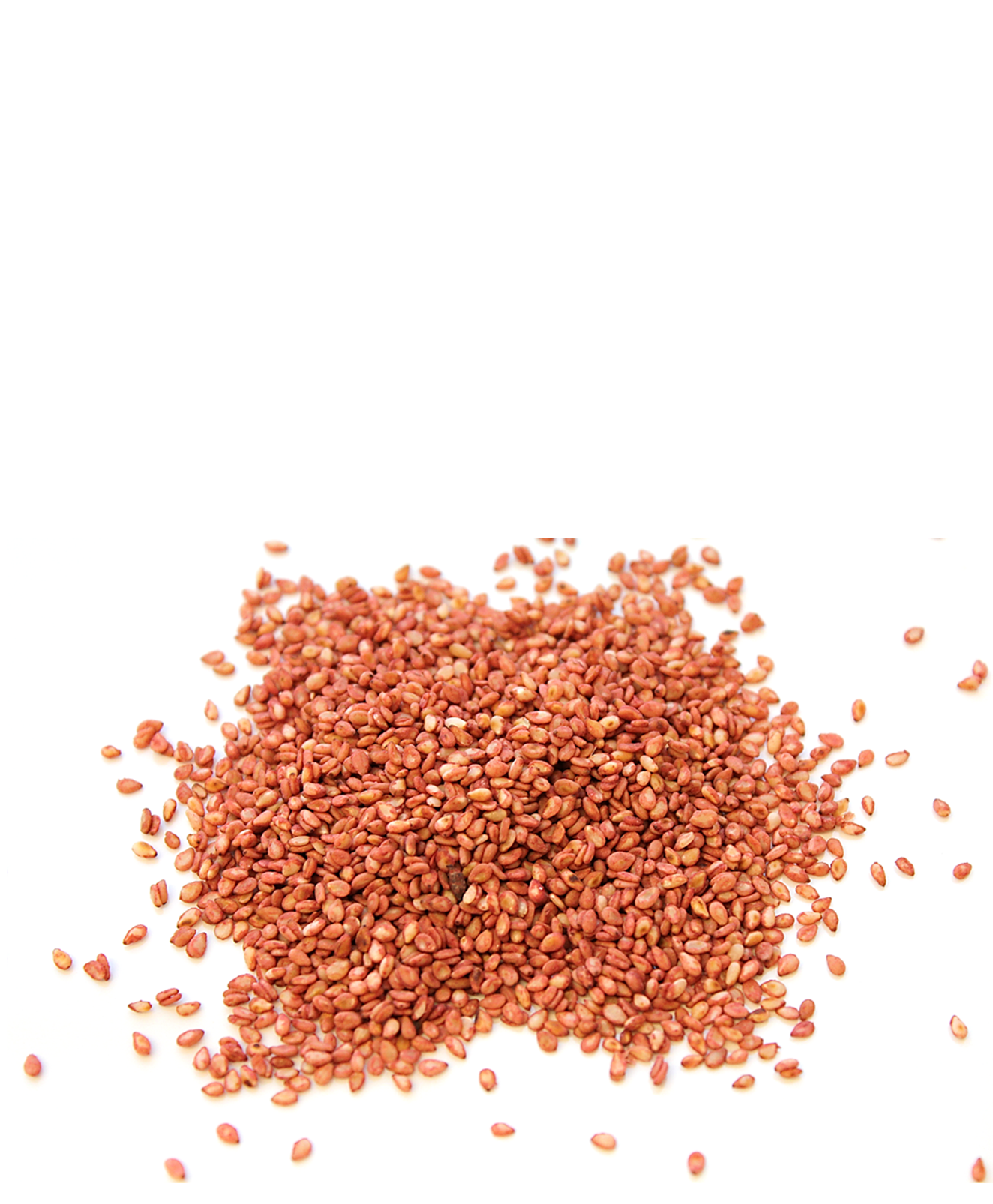 Gerösteter Sesam Ume (Furikake) Nachfüllpack