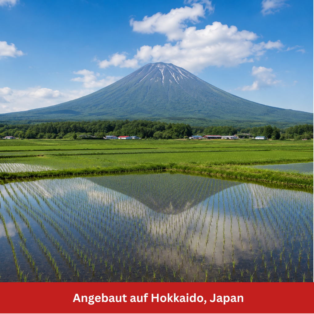Reisanbau auf Hokkaido