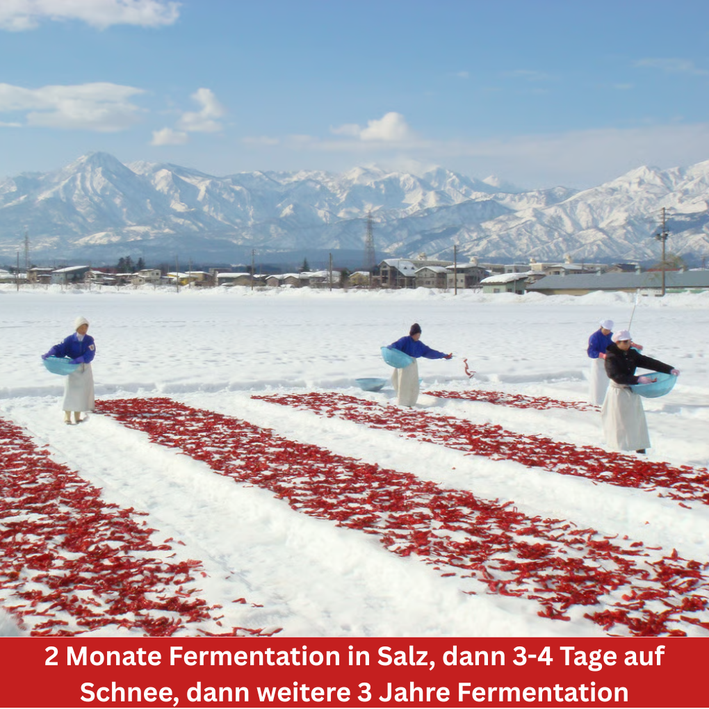 Schneefeld mit Chilies Kanzuri