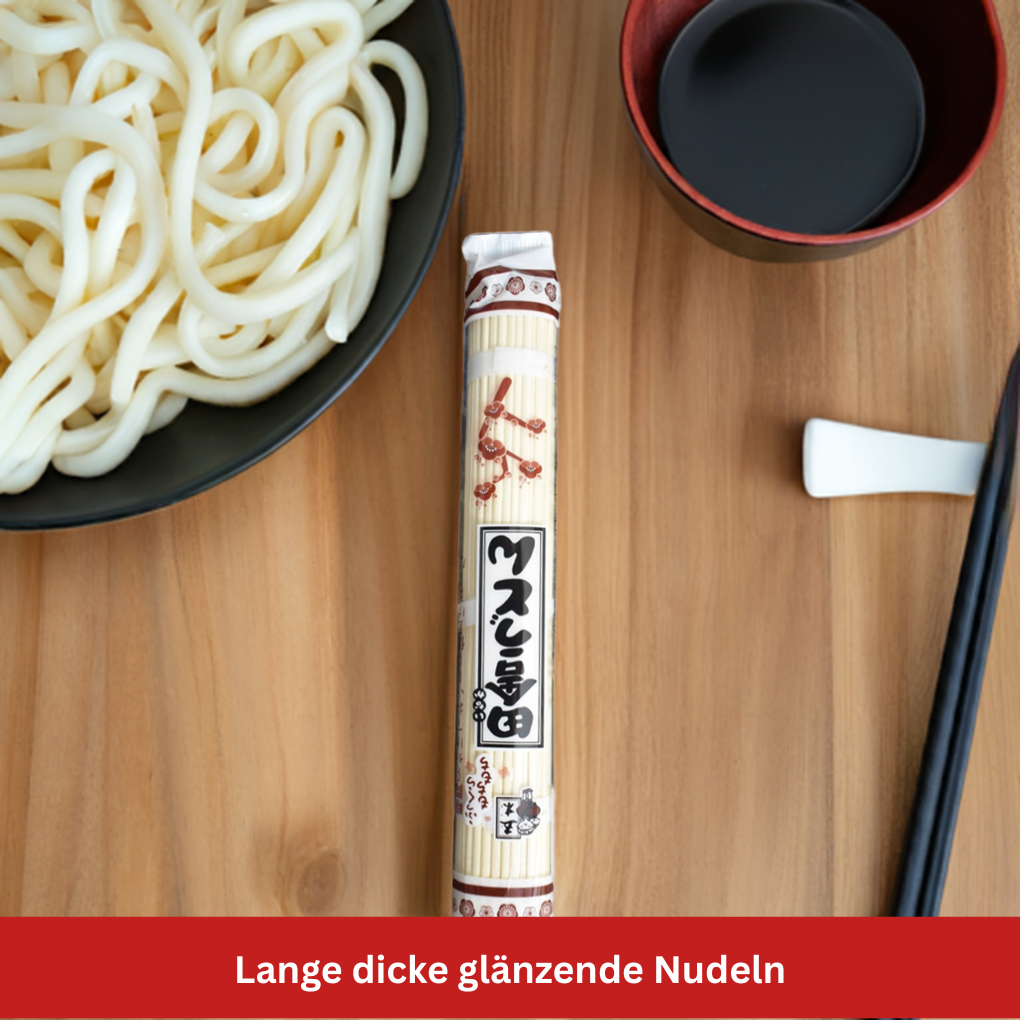 Inaka Udonnudeln Stillife